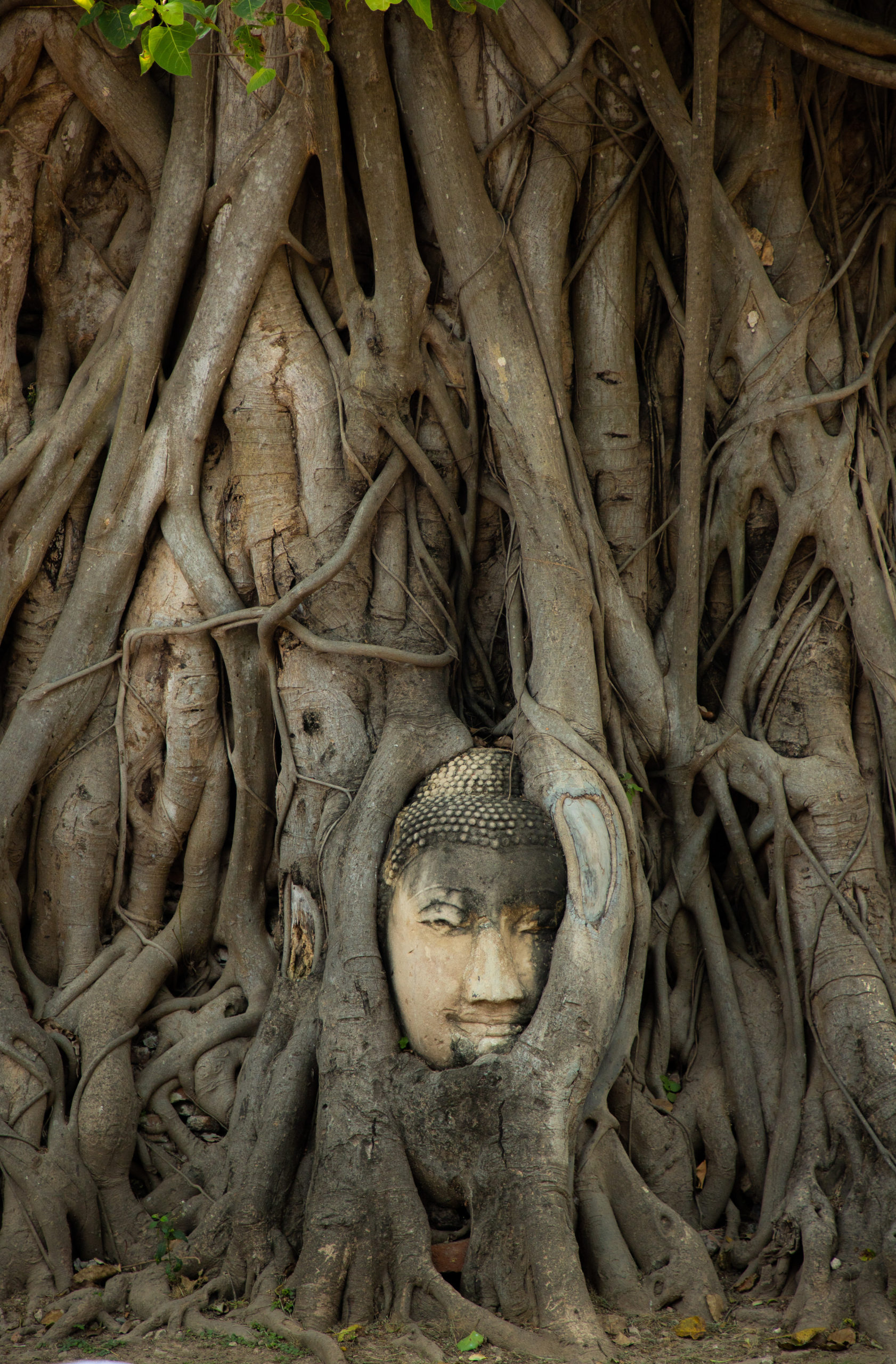 Ayutthaya Thailand Asia